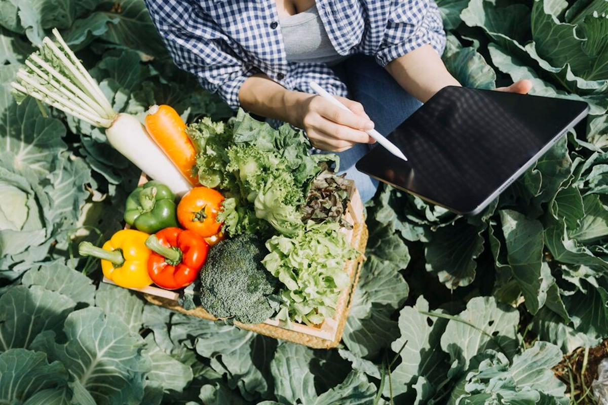 traçabilité légumes bio